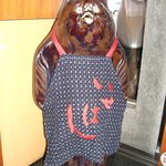 茶房いせはん - 店内にいた狸