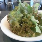 レストラン薔薇 - 