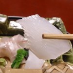 虎屋 壺中庵 - アオリイカの隠し包丁