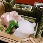 虎屋 壺中庵 - 鯛 アオリイカの造り