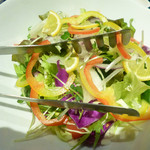 Enishi - 新鮮野菜サラダ