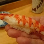 鮨 いとう - 車海老。リフト(^-^)/