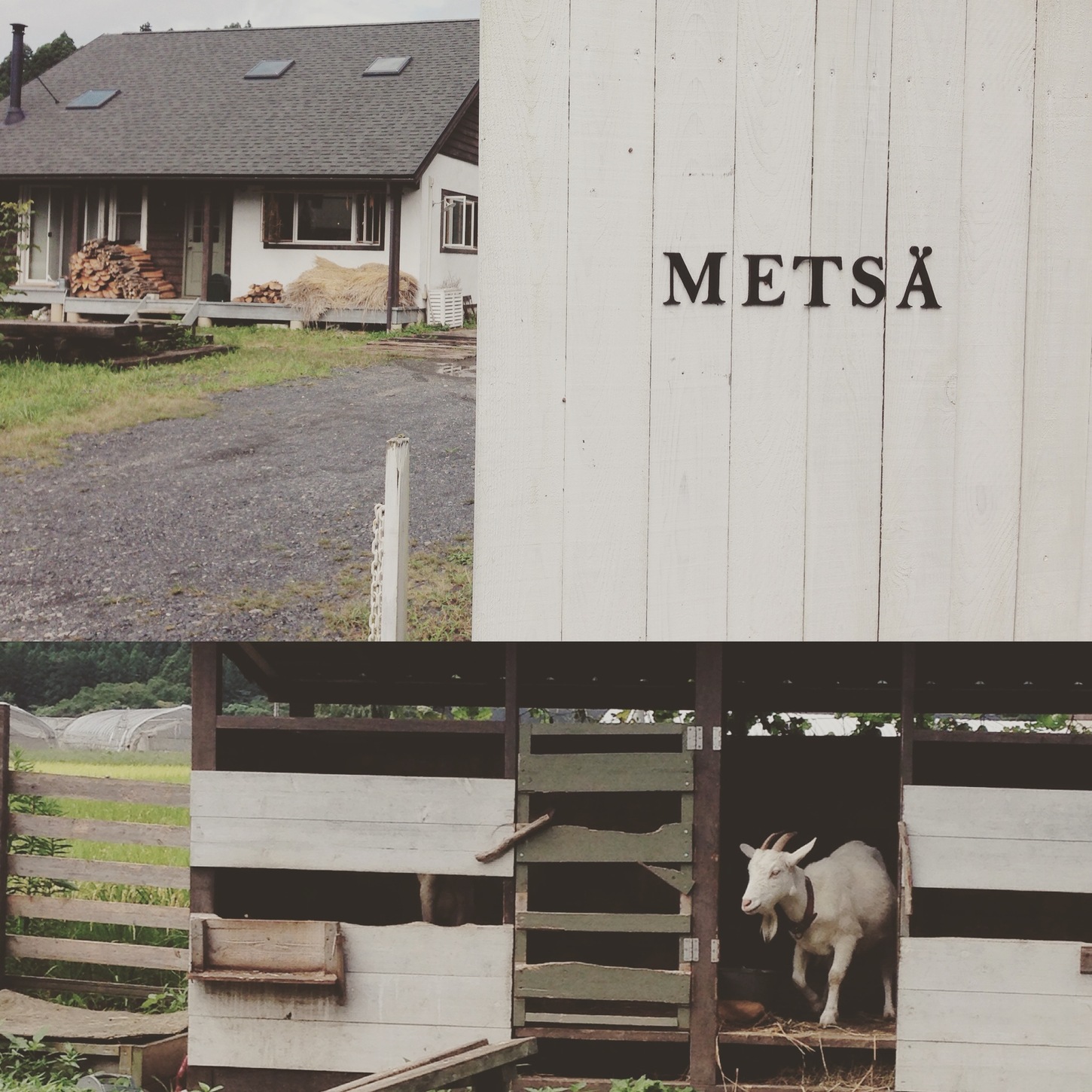 metsa name=