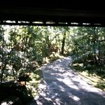 山しのぶ - 玄関へのアプローチ