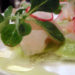 カンブーザ - ヒラメのサラダアップ　緑のはきゅうりです。きゅうりのソース