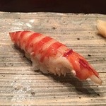 銀座 鮨 かねさか 本店 - 車海老