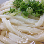 宮武うどん - 綺麗なうどんです(*´д`*)