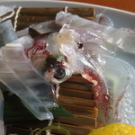 いか本家 - まだ動いていましたぁ～♪