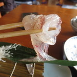 いか本家 - 最後まで頑張ります(笑)　熊笹に張り付いています。