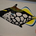 鮮魚もとぶ さしみ亭 - かわゆす