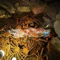 網元本館 - 