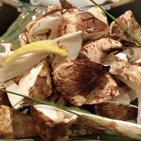 肥後橋ゆきや。 - 2015/11