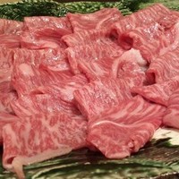 肥後橋ゆきや。 - 2015/11