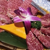 和牛 まつした 本通り店 - 