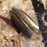 小判寿司 - こはだ