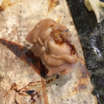 小判寿司 - 煮蛤