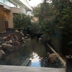 有馬グランドホテル - 窓からの眺めもきれいです♪