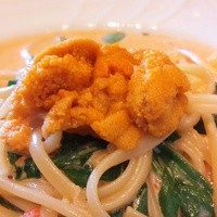 イル ビッライオ - ～イル ビッライオ～
                北海道産生ウニとルッコラのクリームソース
                リングイネ