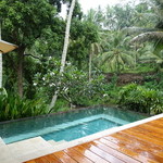 FOUR SEASONS RESORT BALI AT SAYAN - 