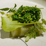 アカ - 16.1月 紋甲烏賊、菜の花、木の芽