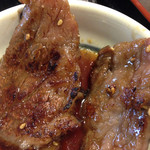 仙峰苑 - 焼けました