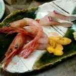 お食事処 アナログ - 