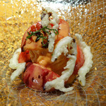 ドディチ・マッジョ - 