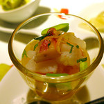 ドディチ・マッジョ - 