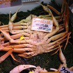 越前 田村屋 プリズム福井店 - 皇室献上級35000円