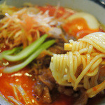 はなさき家 - 担々麺８辛、玉子、辛ネギ追加