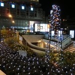 Benoit Alain Ducasse - 