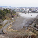 かつ銀 - 蓮華寺池公園　近くにスタバができた