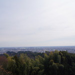 かつ銀 - 蓮華寺池公園から海が見えるとは知らなかったー