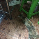 Jae Koy Restaurant - 