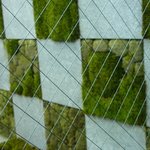 ＨＡＮＡ吉兆 - 良く見ると、ひとマスごと違う苔が植えてあります。