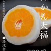 湯浅金月堂