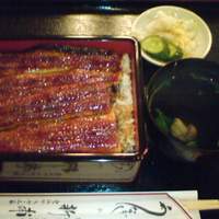 うなぎの新甫 - うな重
