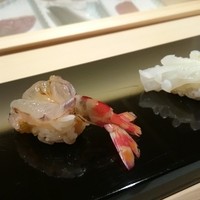 鮨 木島 - えび＆やりいか