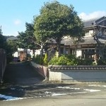 ロッキンバーグマン - 