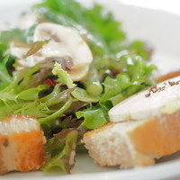 Benoit Alain Ducasse - 