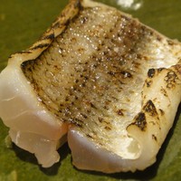 鮨ふみ - トロカマス炙り