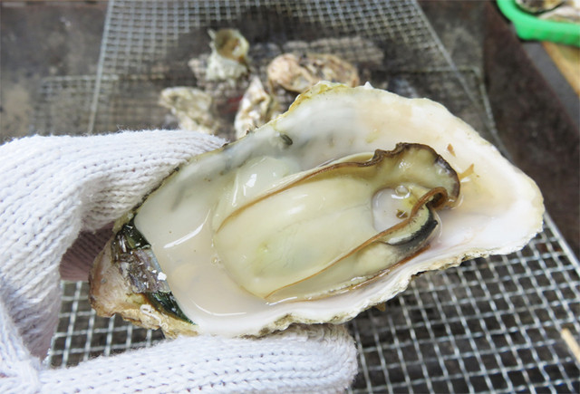 唐泊恵比須かき小屋 福岡市西区その他 シーフード 食べログ