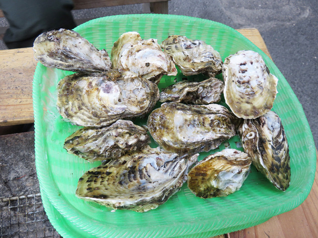 唐泊恵比須かき小屋 福岡市西区その他 シーフード 食べログ