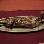 花仙庵 仙仁温泉 岩の湯 - アマゴ