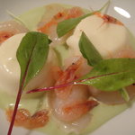 帆立貝と桜エビのマリネ　新玉ねぎのブランマンジェ添え