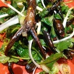 凛丹 - アヒルの舌の料理。ハルゲニアが生きていた頃の古代生物みたい。