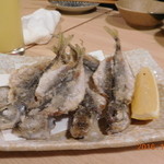 魚ひろ - 28年1月再訪