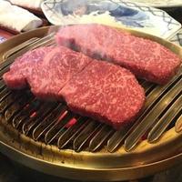 うかい鳥山 - 