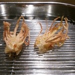 てんぷら 深町 - 車海老の頭