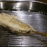 てんぷら 深町 - メゴチ。こんなに身がホクホクなメゴチは初めて!!